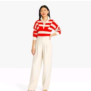 High Rise Pleat Front Straight Trousers -A New Day